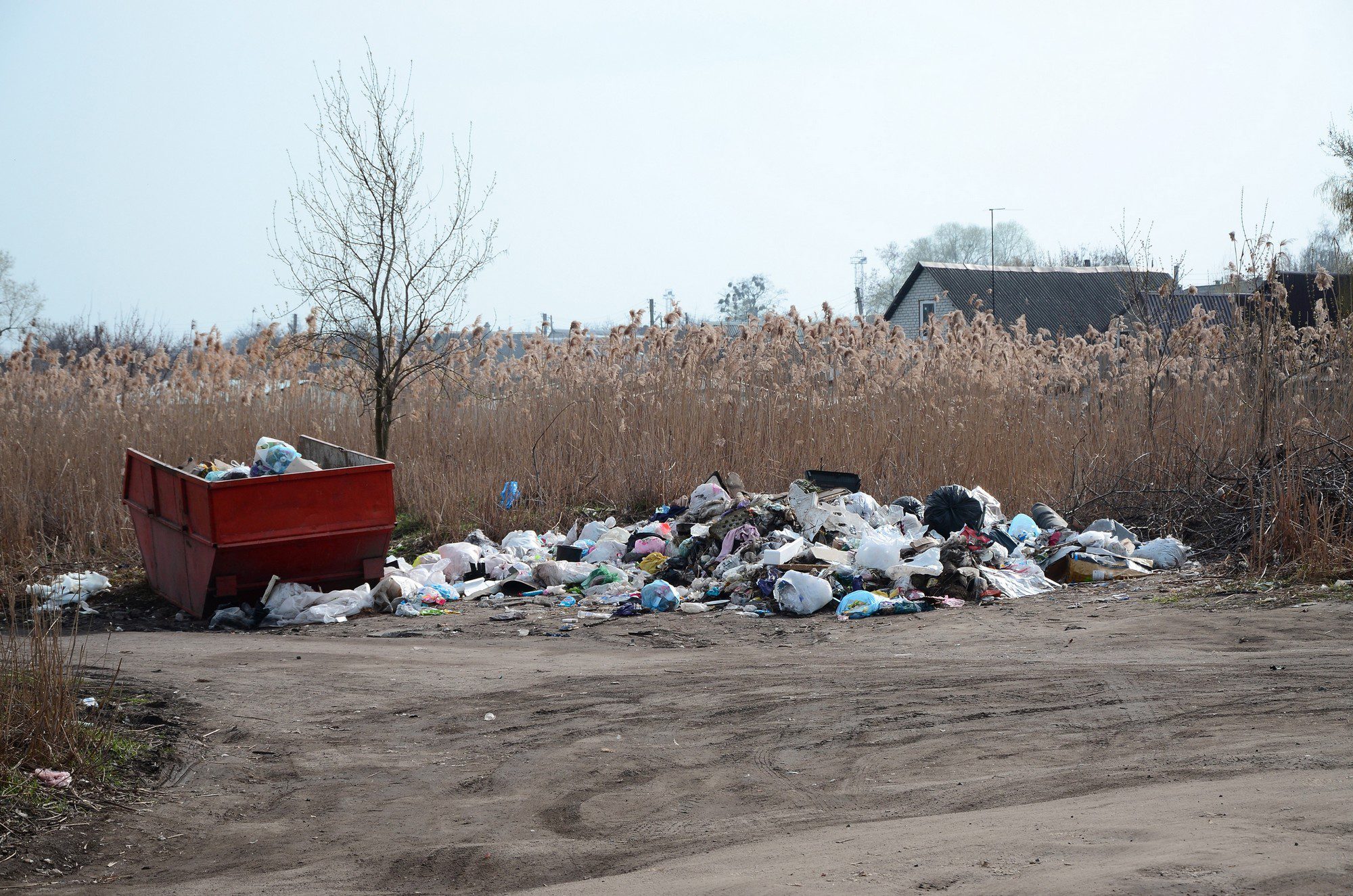 This image shows a sizable amount of rubbish scattered on the ground in an open area, which appears to be a dumping site. There is a large, red dumpster that is overflowing with trash, suggesting that the waste has not been managed properly. The rubbish is comprised of a variety of waste materials, including plastic bags, containers, and other refuse that generally come from household or possibly commercial sources.

Surrounding the area is dry vegetation, and there is a leafless tree near the dumpster, indicating the photo may have been taken in a season when trees are not in full bloom, possibly late autumn or winter. In the background, one can see the roof of a building, hinting that this wasteland might be on the outskirts of a populated area. The accumulation of rubbish outside of the dumpster signifies a lack of regular waste collection or negligence in terms of waste management in this location.