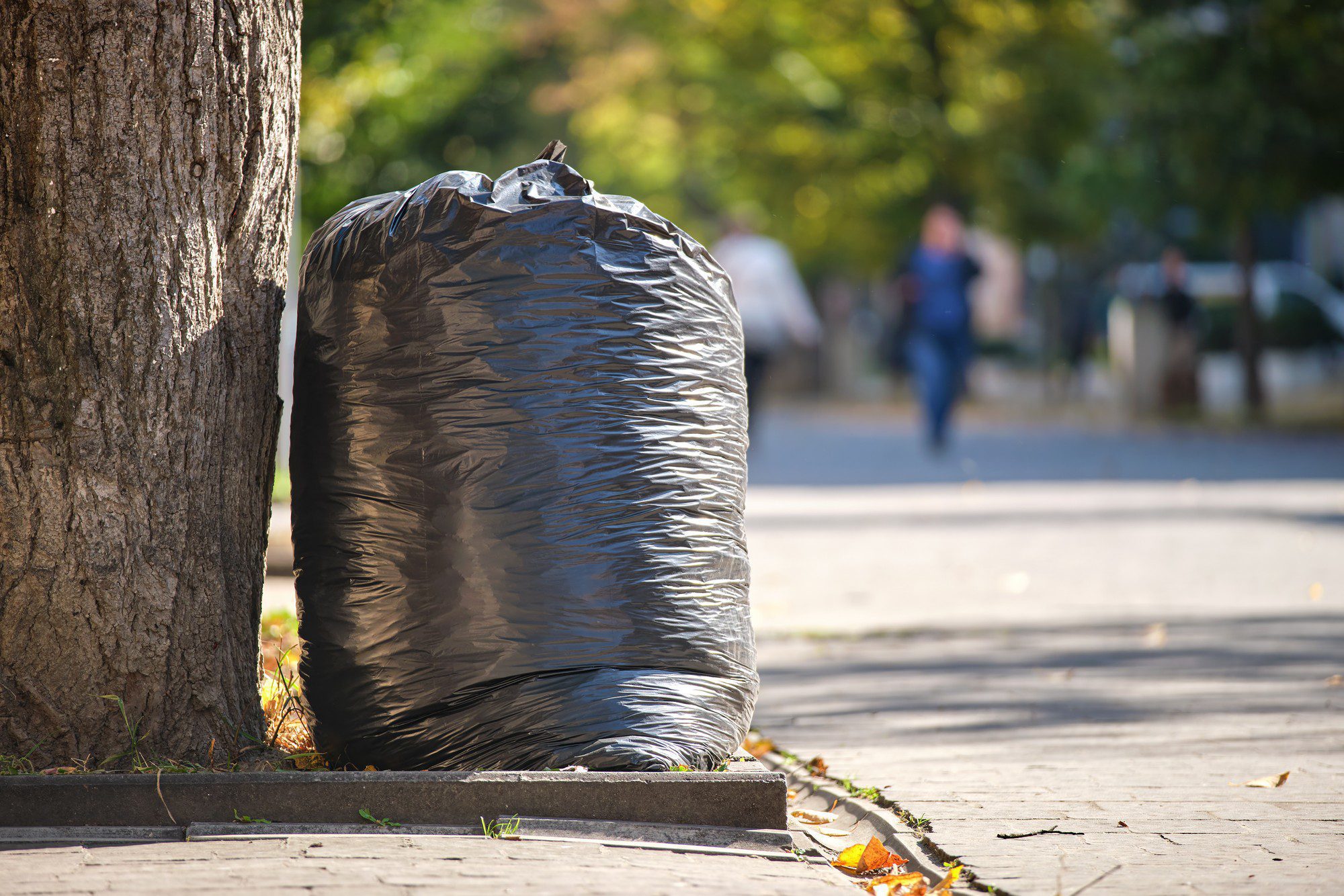 In the foreground, there is a large black trash bag leaning against a tree. It seems to be full and tied at the top. The scene suggests that this might be a public space—possibly a park, given the presence of a paved pathway, a curb, and some fallen leaves which indicate it could be autumn. In the background, the image is blurred, but we can see people walking on the pathway, enjoying a sunny day outdoors. The specific location and other details about the setting and people are not identifiable due to the lack of focus in that area of the image.