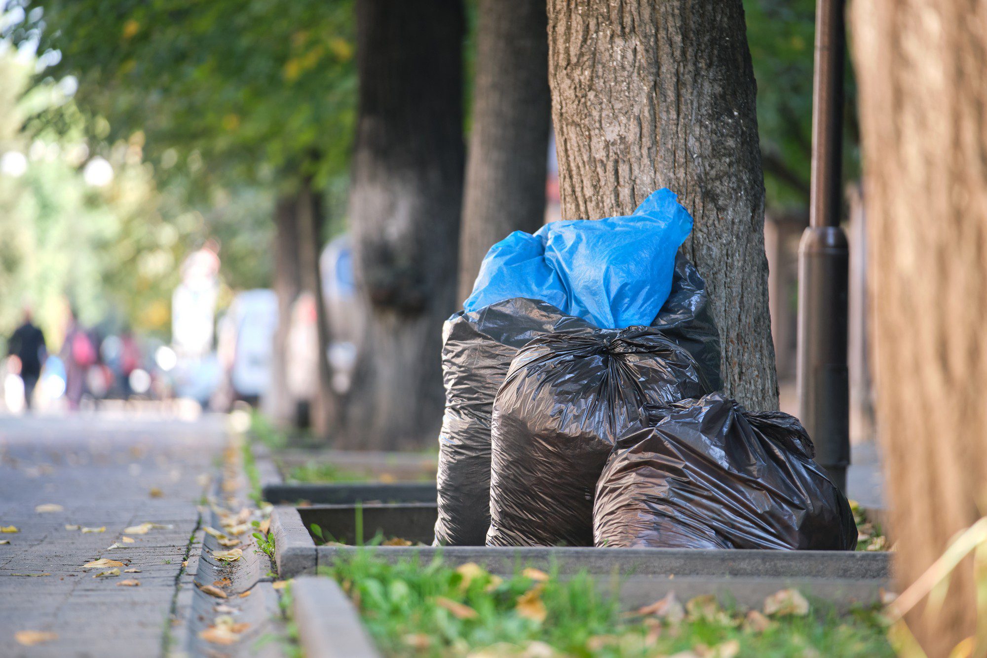 This image shows a sidewalk with bags of trash or rubbish placed next to a tree. There are at least two black bags and one blue bag visible. The background is blurred but indicates an urban area with people at a distance, possibly a street lined with trees. There are autumn leaves scattered on the ground, suggesting the season could be fall. A lamp post is also visible next to the tree, part of the urban infrastructure.