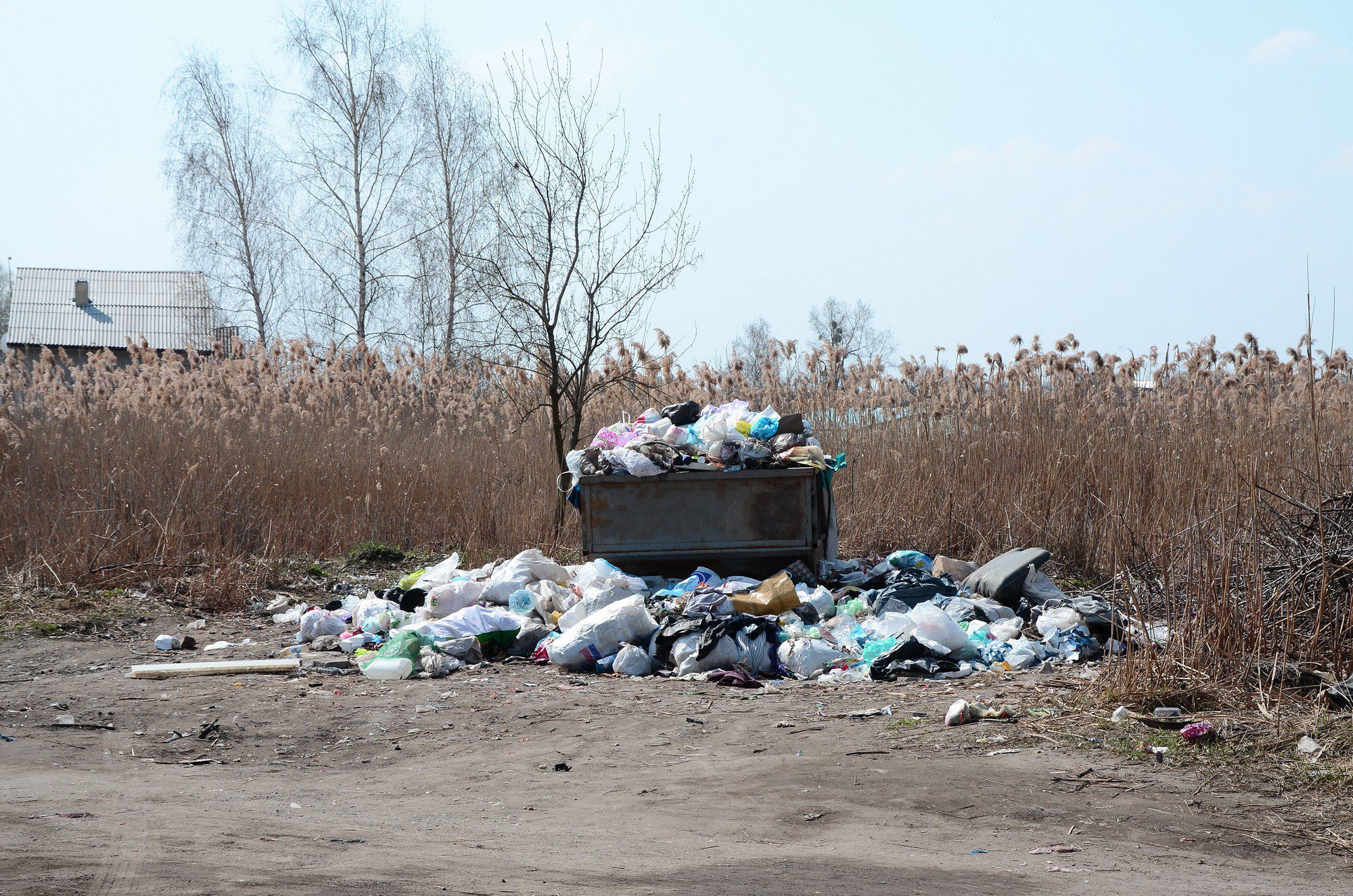 The image shows an overflowing dumpster surrounded by a large scattering of trash on the ground. The waste consists of various items such as plastic bags, bottles, and other refuse. There's a dirt path in the foreground, and behind the dumpster is a field of tall, dry reeds. Bare trees and a building with a sloped roof are also visible in the background under a blue sky. This scene highlights an issue of improper waste disposal and environmental pollution.