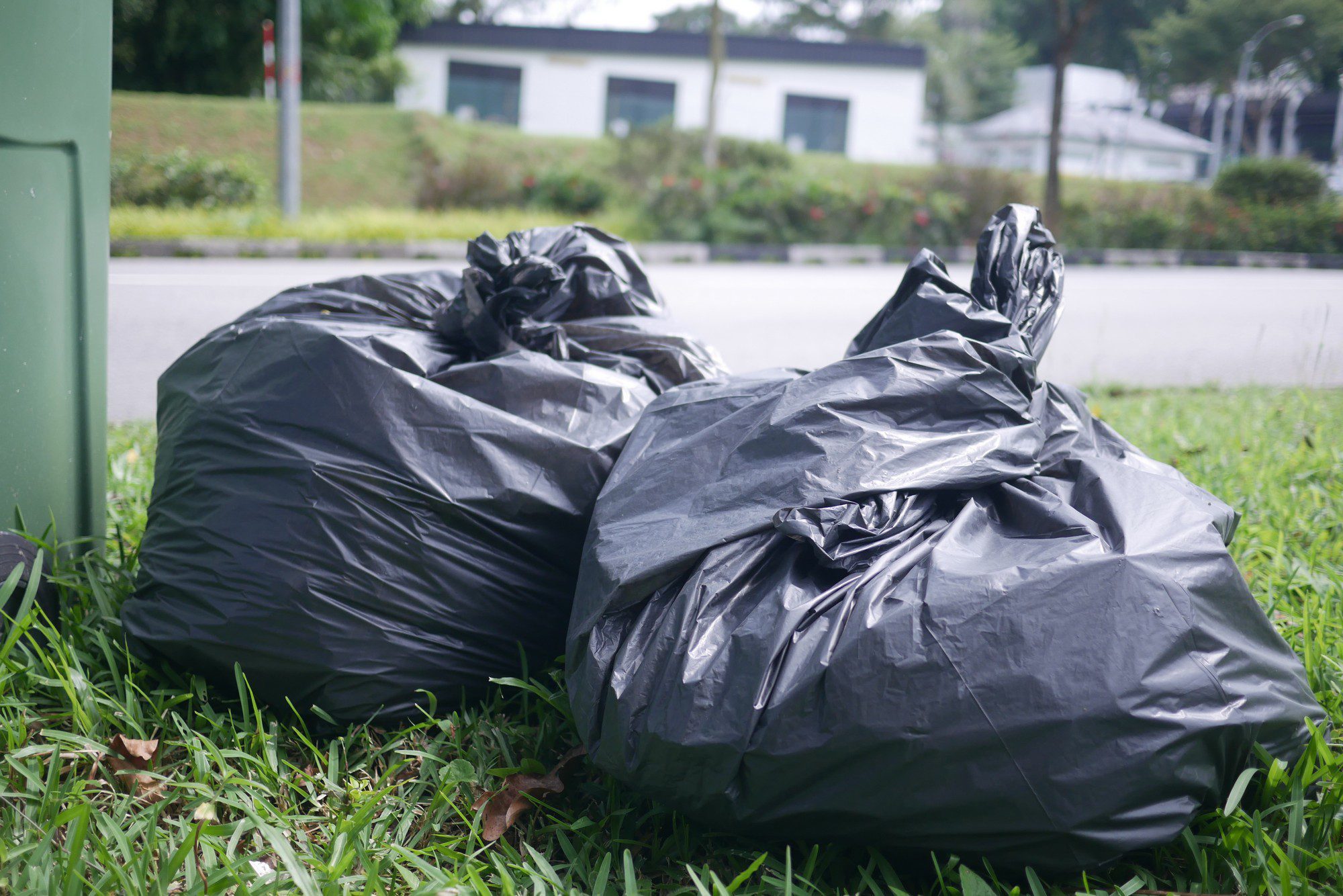 This image shows three black trash bags that appear to be filled with waste, sitting on a grassy area beside a road. The background includes a road with a white painted line, some greenery with shrubs and trees, and a building with large white windows. The day seems overcast or cloudy, given the diffused lighting.