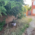 WhatsApp Image 2025-10-03 at 14.45.196666