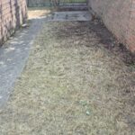 WhatsApp Image 2025-10-03 at 14.45.20y